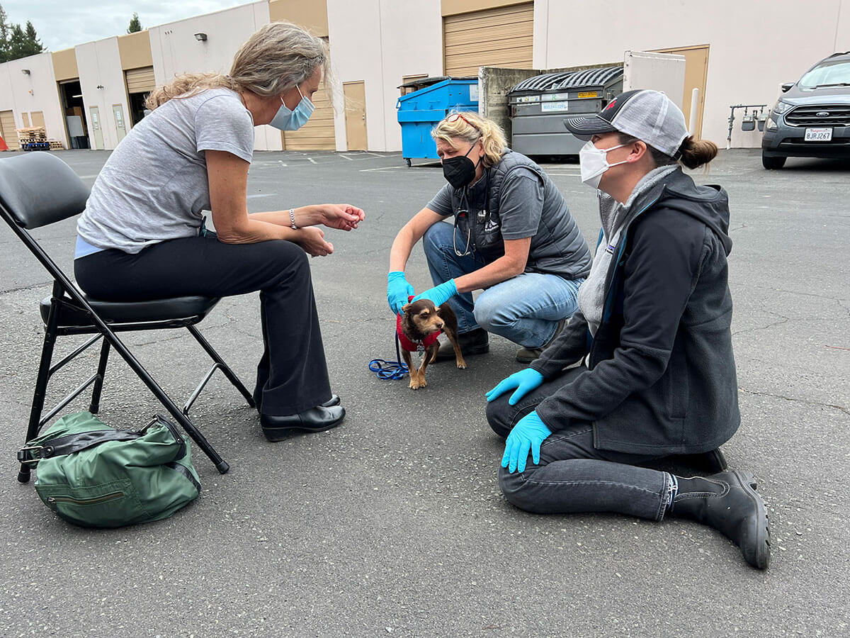 human-service