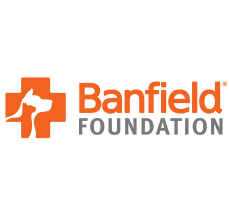 partners-banified