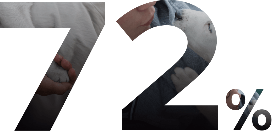72-txt